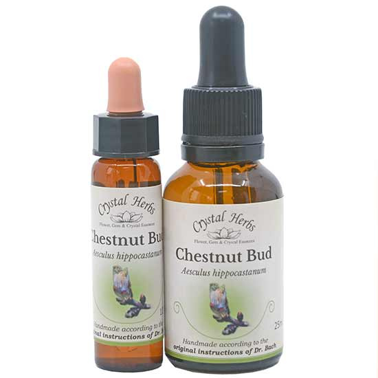10ml und 25ml Essenzenflaschen der Bachblüte Chestnut Bud
