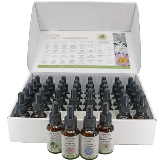 Offene  Kartonbox von Bach-Blüten-Essenzenset-25ml