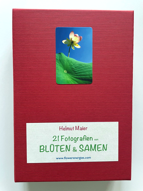 Rote Schachtel von Blüten & Samen Fotoset 10x15cm mit Lotus Foto