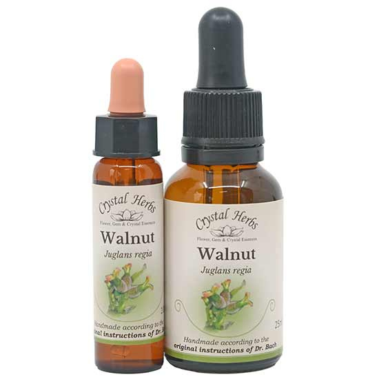 10ml und 25ml Essenzenflaschen der Bachblüte Walnut