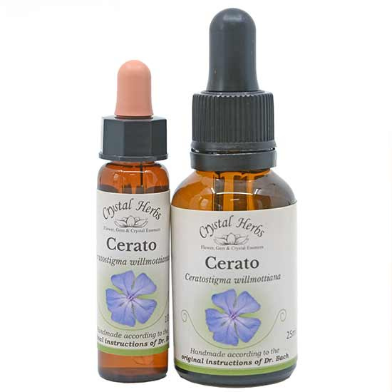 10ml und 25ml Essenzenflaschen der Bachblüte Cerato