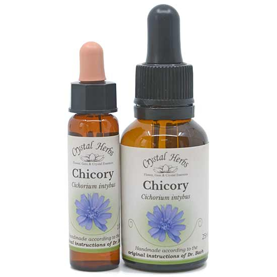 10ml und 25ml Essenzenflaschen der Bachblüte Chicory