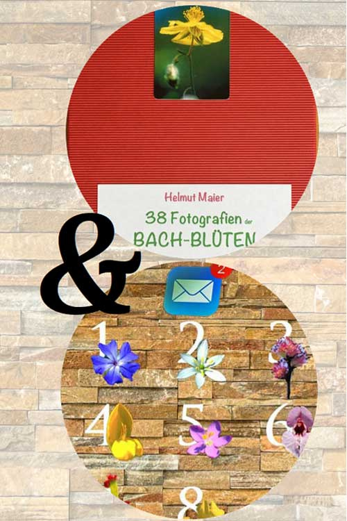 Angebotsbild Bach-Blüten-Fotoset und E-Mail-Abo Monatsblüte
