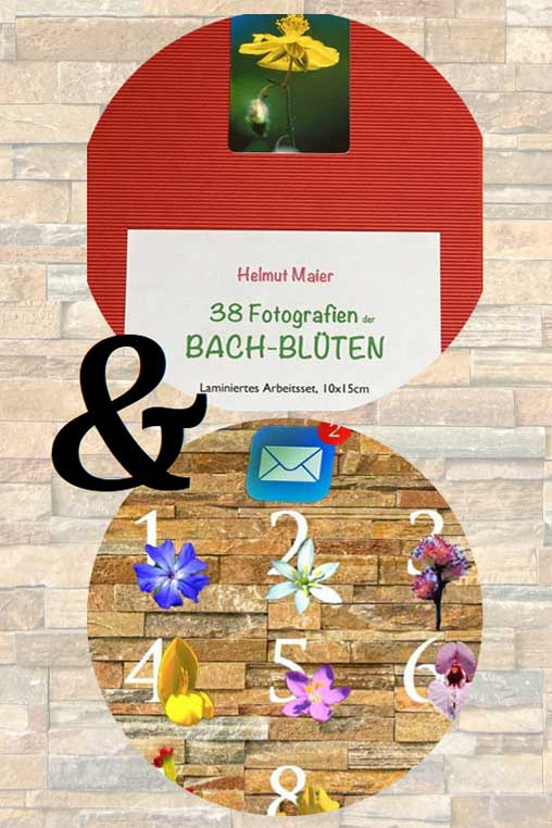 Angebotsbild Bach-Blüten-Fotoset und E-Mail-Abo Monatsblüte