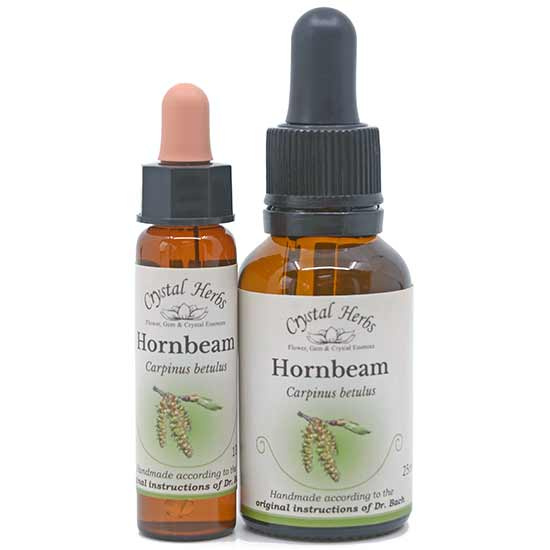 10ml und 25ml Essenzenflaschen der Bachblüte Hornbeam