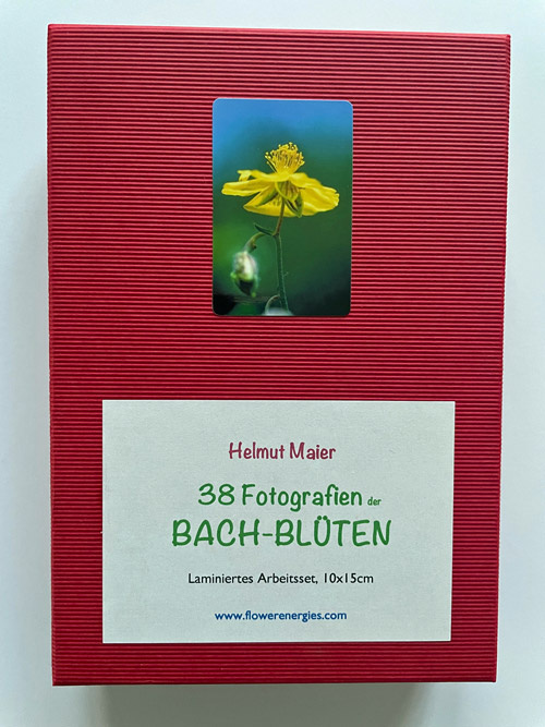 Rote Schachtel von laminiertem Bach-Blüten Fotoset mit Rock Rose Foto