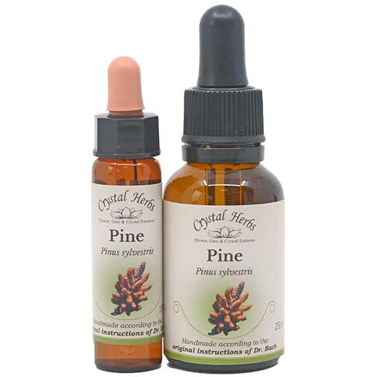 10ml und 25ml Essenzenflaschen der Bachblüte Pine