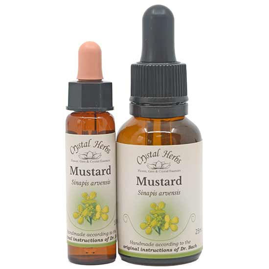 10ml und 25ml Essenzenflaschen der Bachblüte Mustard