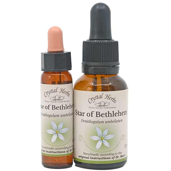 10ml und 25ml Essenzenflaschen der Bachblüte Star of Bethlehem