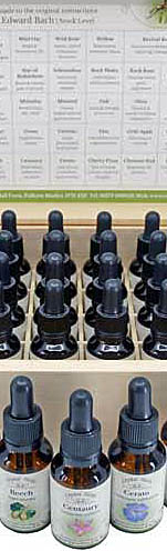 25ml Bachblüten-Flaschen Ausschnitt eines Sets