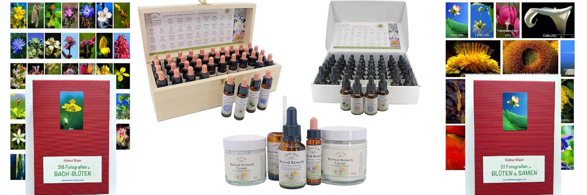 Bachblüten-Fotos und Essenzen-Sets