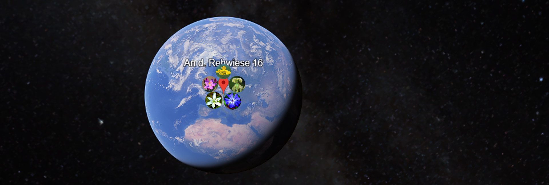 Erdkugel im Weltall mit 5 Blüten auf Standort Falkensee