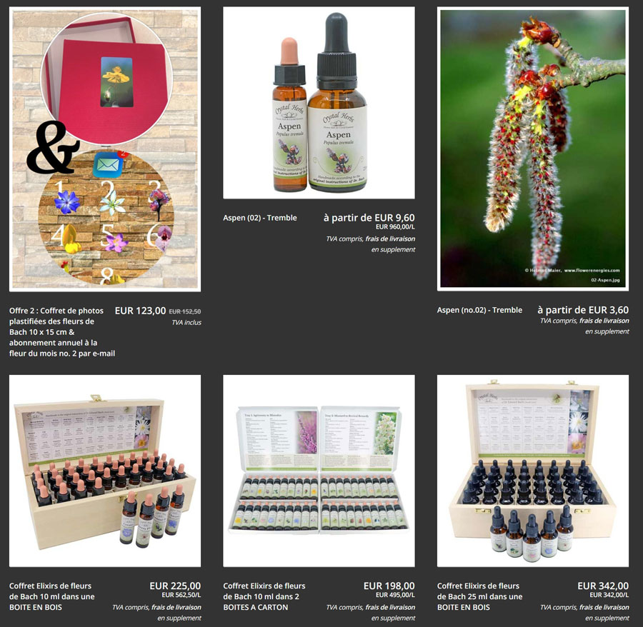 offen -n neues Bild EN