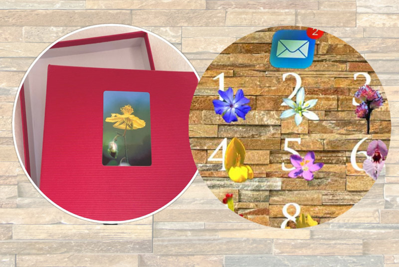 Offers Bach Flower Photo Sets with Monthly Flower Annual Subscription