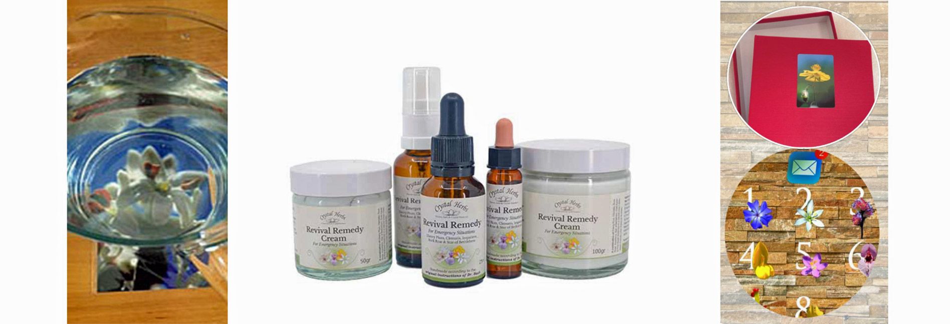 Offre Fleurs du mois, élixirs de fleurs de Bach, coffrets de photos