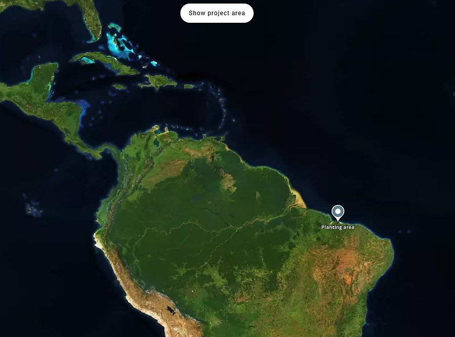 Baumpflanz Projekt Primeira Cruz von oben im Nordosten Brasiliens