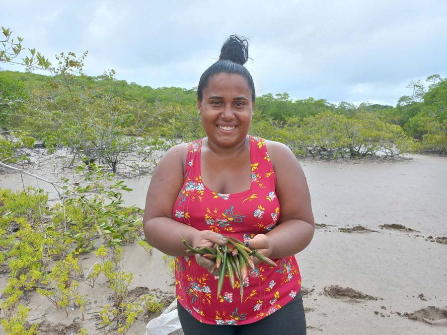 Küstenpflanzerin hält Mangroven-Setzlinge in Händen