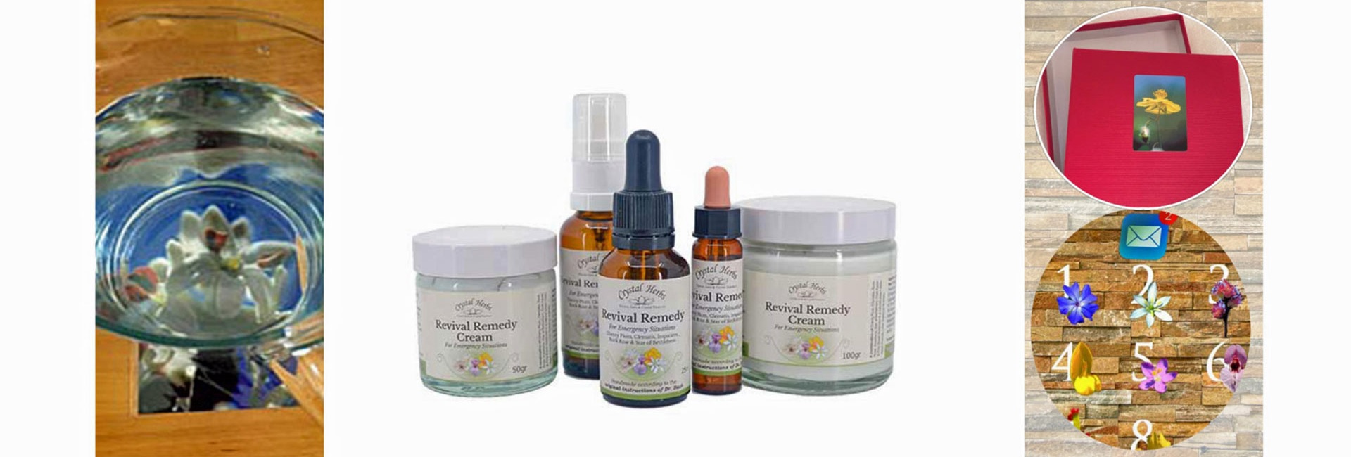 Offres spéciales : Fleur du mois, élixirs, coffrets de  photos et abonnement à la Fleur du mois