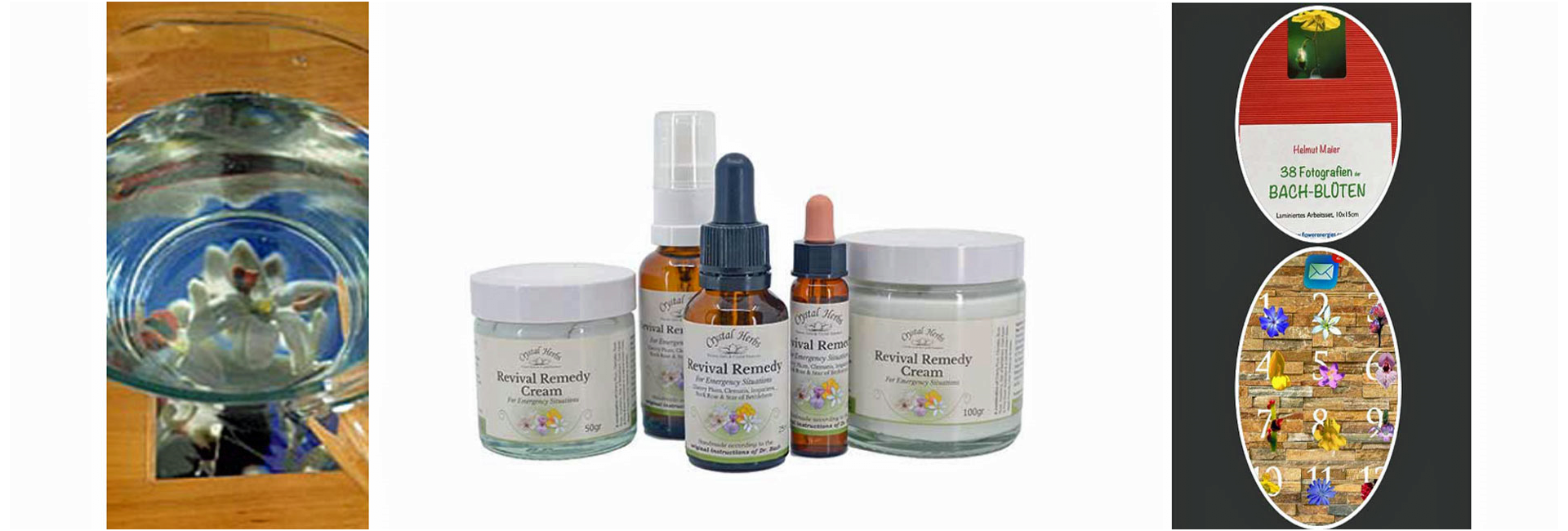 Bachblüten-Angebote, Monatsblüte, Notfallsets, Fotosets