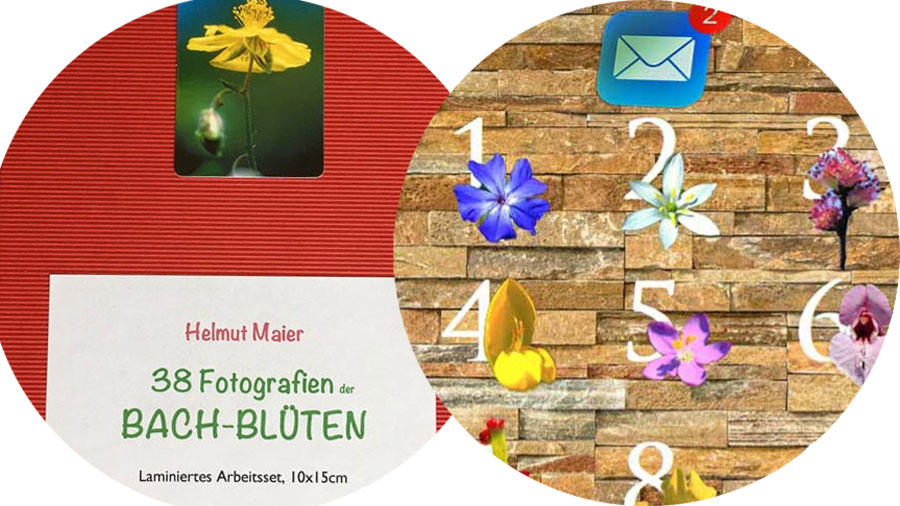 Angebot Laminiertes Bachblüten-Fotoset mit Monatsblüten-Jahresabo